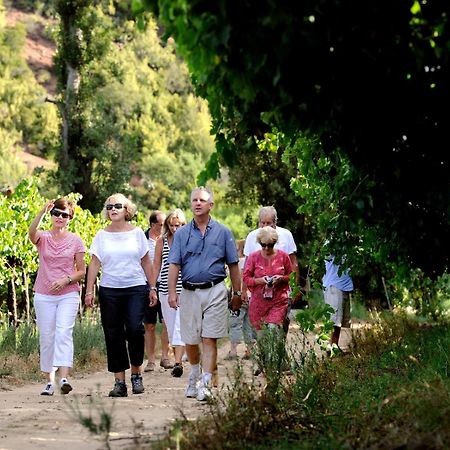 Mymering Wine & Guest Estate لاديسميث المظهر الخارجي الصورة