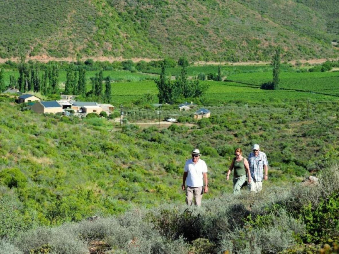 Mymering Wine & Guest Estate لاديسميث المظهر الخارجي الصورة