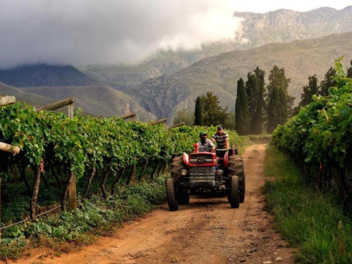 Mymering Wine & Guest Estate لاديسميث المظهر الخارجي الصورة
