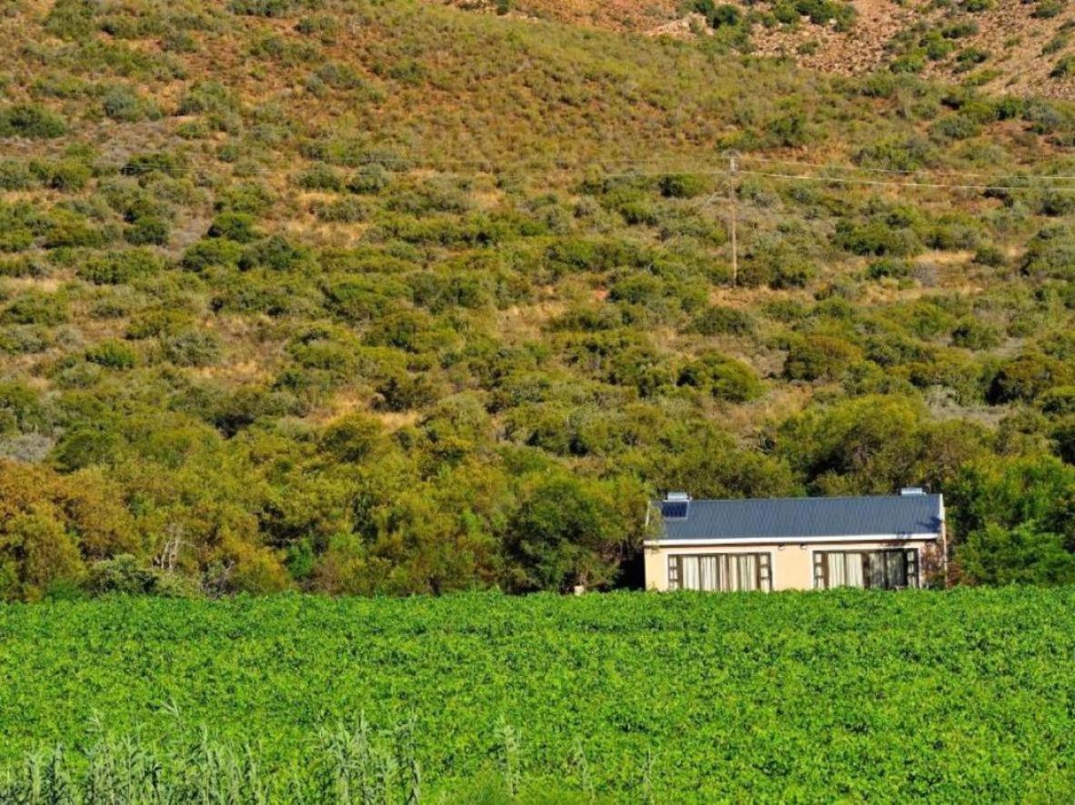 Mymering Wine & Guest Estate لاديسميث المظهر الخارجي الصورة