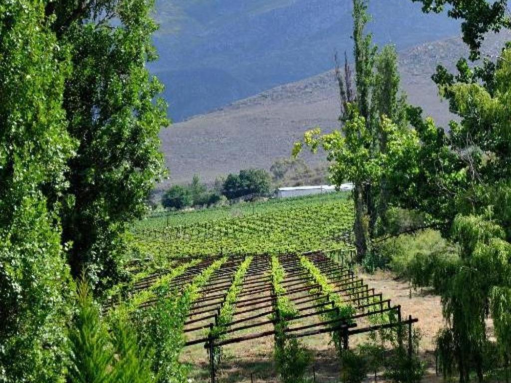 Mymering Wine & Guest Estate لاديسميث المظهر الخارجي الصورة